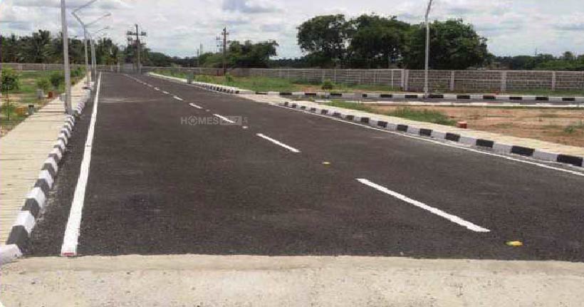 Golden Palms Golden City Cover image